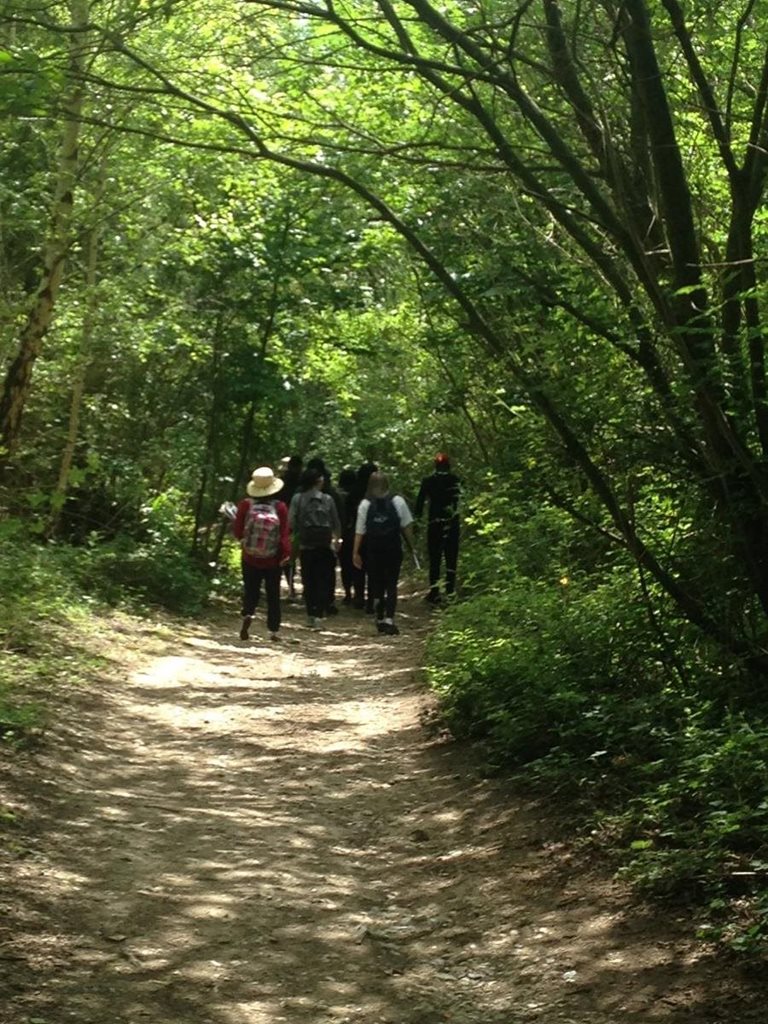 Science students field trip to Juniper Hall